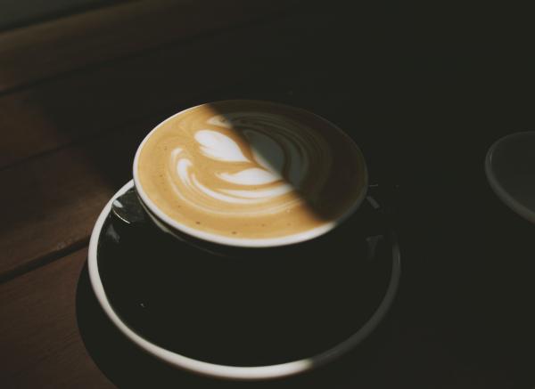 6 entreprises à découvrir dans Région L’Islet