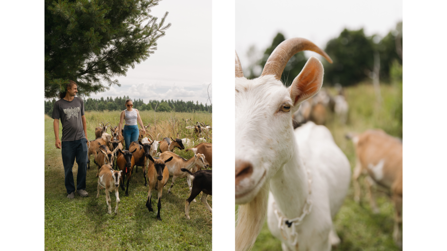 SI TU RESTAIS - Anne-Sophie Noël et Camill L'Italien à la Ferme Paysanne | Région L'Islet